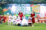 Merry Christmas 2024 - Ghi dấu mùa Giáng sinh an lành Hoa Trạng Nguyên